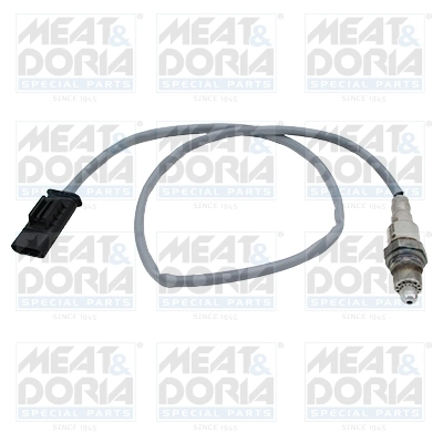 Oxygen Sensor